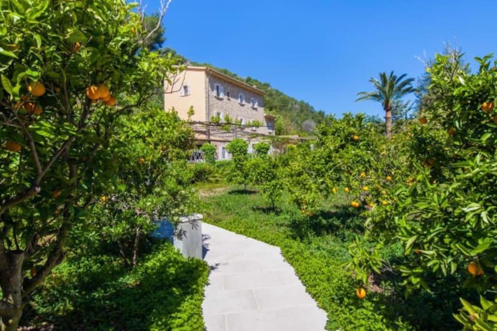 Son Llempaies, Finca For 12 سويير المظهر الخارجي الصورة